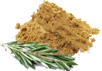 High quality rosemary extract powder